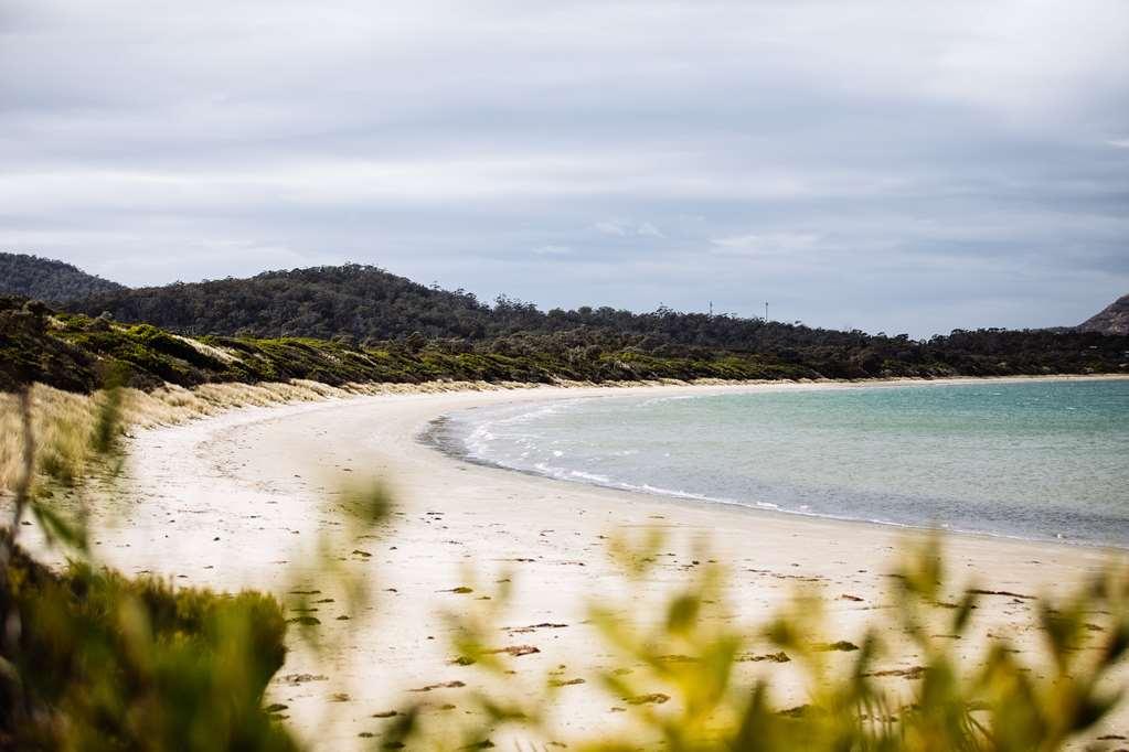 Saffire - Freycinet Hotell Coles Bay Natur bild